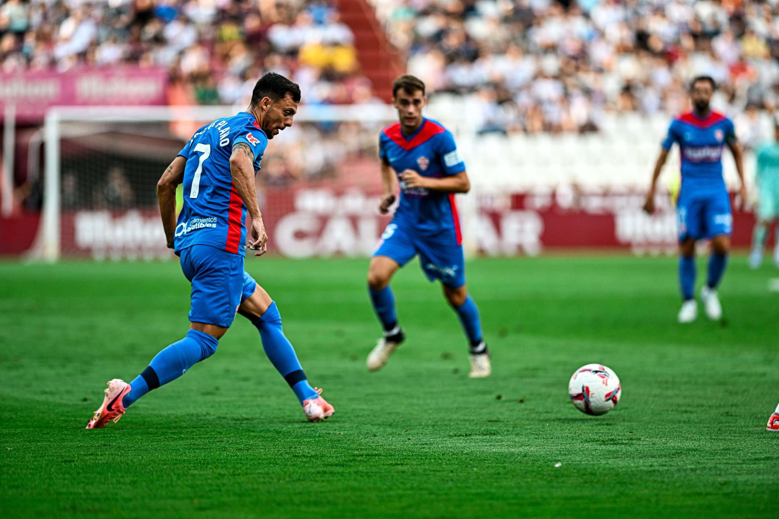 Elche