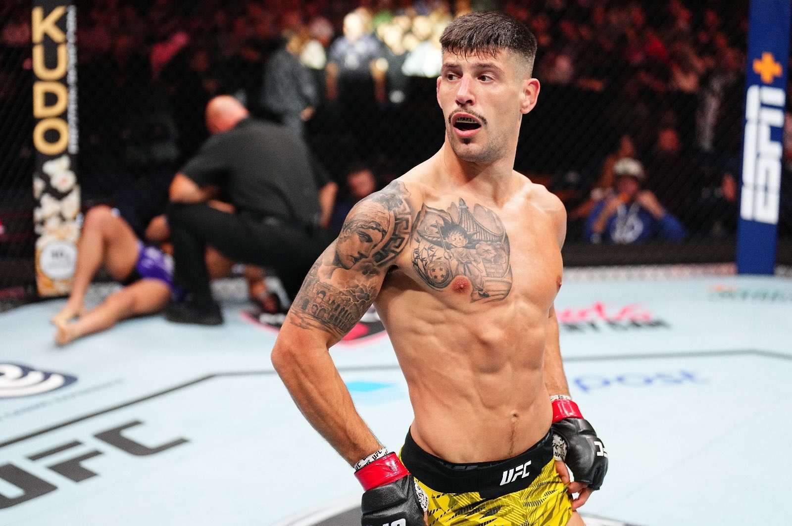 Joel Álvarez. UFC.