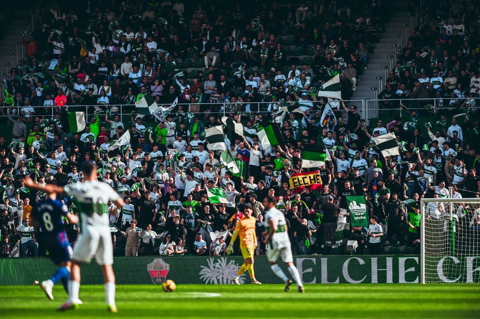 Elche ascenso