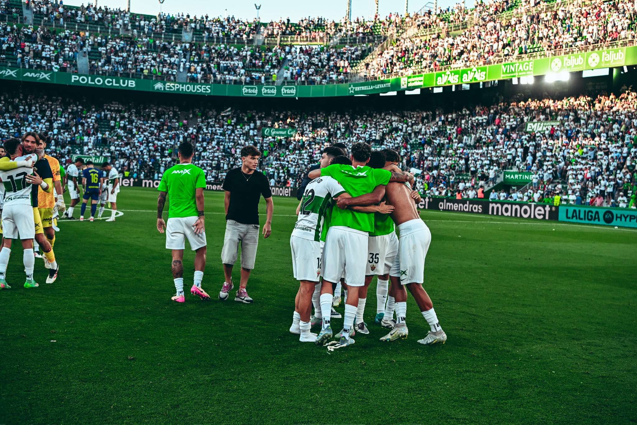 Elche ascenso